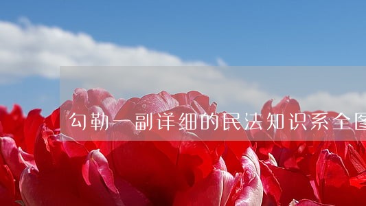 勾勒一副详细的民法知识系全图 勾勒一副详细的民法知识系全图