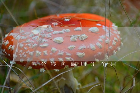 包公钱包逾期3个月 包公钱包逾期3个月