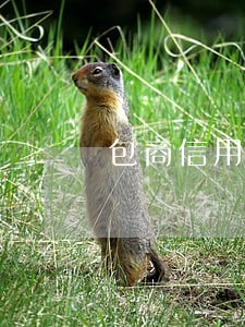 包商信用卡还款逾期记录