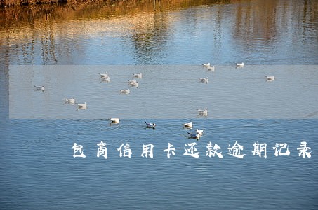 包商信用卡还款逾期记录怎么办