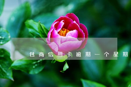 包商信用卡逾期一个星期利息多少 包商信用卡逾期一个星期利息多少
