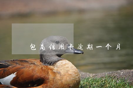 包商信用卡逾期一个月
