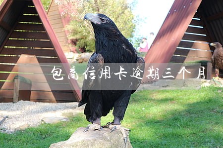 包商信用卡逾期三个月