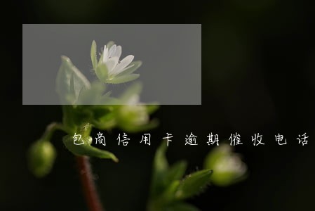 包商信用卡逾期催收电话