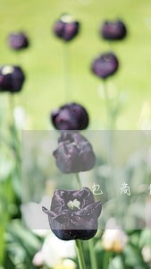 包商信用卡逾期十天 包商信用卡逾期十天