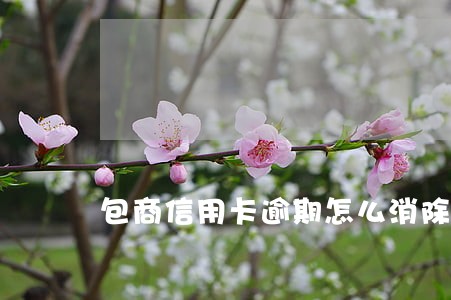 包商信用卡逾期怎么消除 包商信用卡逾期怎么消除