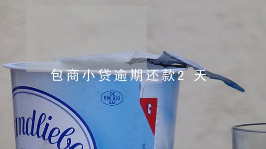 包商小贷逾期还款2天 包商小贷逾期还款2天