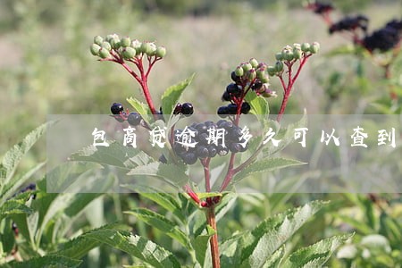 包商贷逾期多久可以查到银行卡