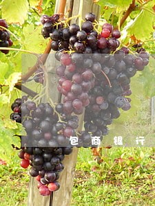 包商银行2015逾期贷款额 包商银行2015逾期贷款额