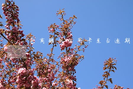 包商银行信用卡是否逾期怎么查