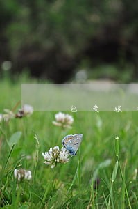 包商银行信用卡逾期2天 包商银行信用卡逾期2天