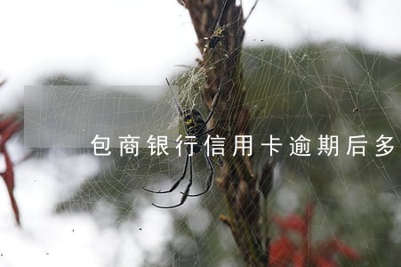 包商银行信用卡逾期后多久恢复 包商银行信用卡逾期后多久恢复