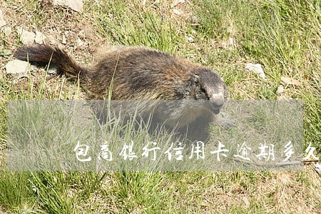 包商银行信用卡逾期多久 包商银行信用卡逾期多久