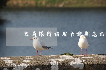 包商银行信用卡逾期怎么消除征信 包商银行信用卡逾期怎么消除征信