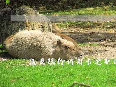 包商银行信用卡逾期诉讼 包商银行信用卡逾期诉讼