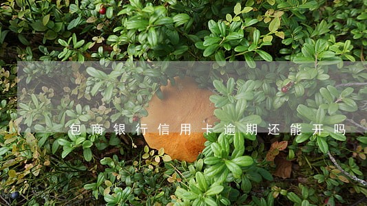 包商银行信用卡逾期还能开吗