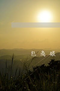 包商银行养乐贷逾期几分钟 包商银行养乐贷逾期几分钟