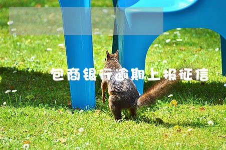 包商银行逾期上报征信 包商银行逾期上报征信