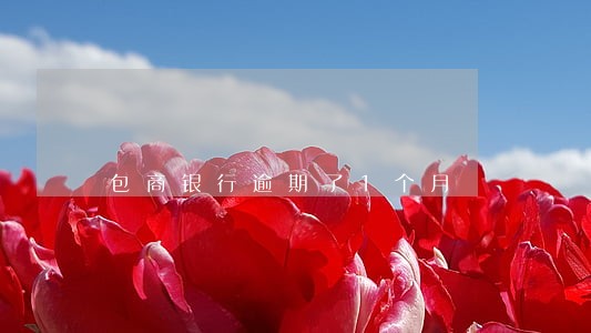 包商银行逾期了1个月 包商银行逾期了1个月