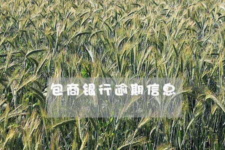 包商银行逾期信息