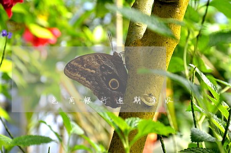 包商银行逾期催收 包商银行逾期催收