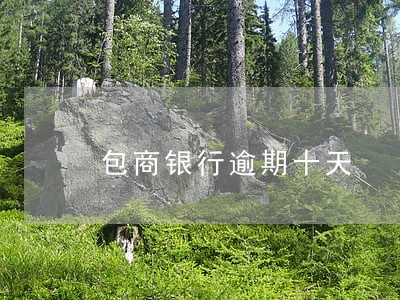 包商银行逾期十天 包商银行逾期十天