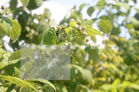 包商银行逾期后退息 包商银行逾期后退息
