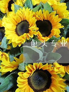 包头专业刑事律师费用