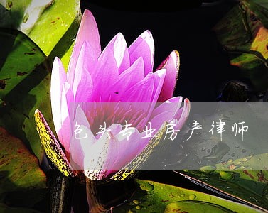 包头专业房产律师 包头专业房产律师