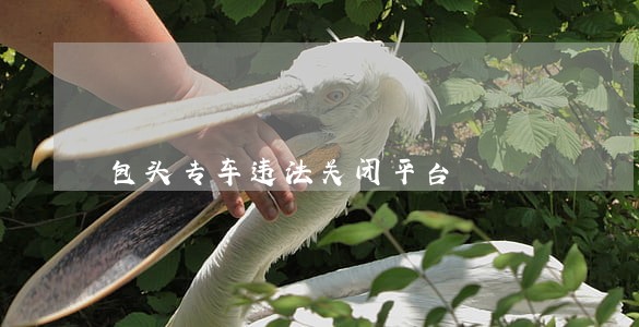 包头专车违法关闭平台 包头专车违法关闭平台