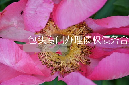 包头专门办理债权债务合同律师 包头专门办理债权债务合同律师