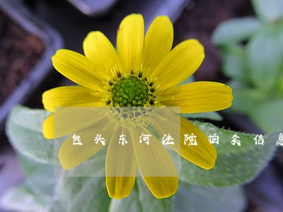 包头东河法院拍卖信息 包头东河法院拍卖信息