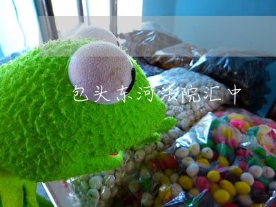 包头东河法院汇中 包头东河法院汇中