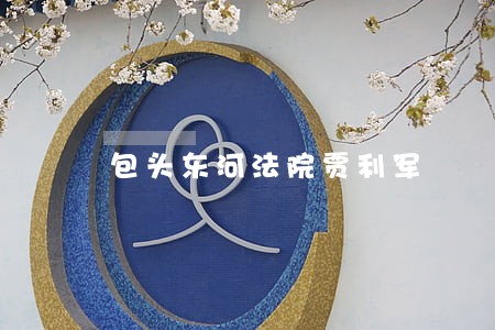 包头东河法院贾利军