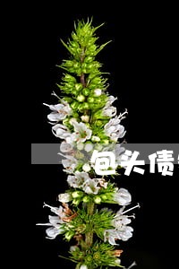 包头债务律师咨询免费 包头债务律师咨询免费