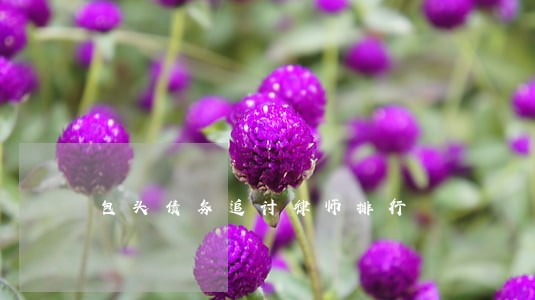 包头债务追讨律师排行 包头债务追讨律师排行