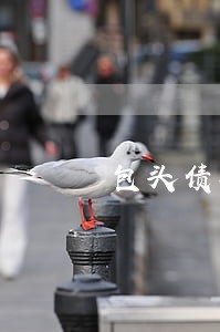 包头债权债务合同律师网站 包头债权债务合同律师网站