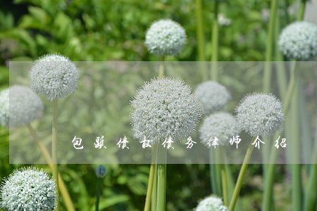 包头债权债务律师介绍 包头债权债务律师介绍
