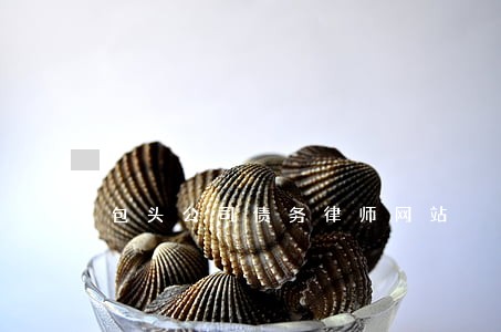 包头公司债务律师网站