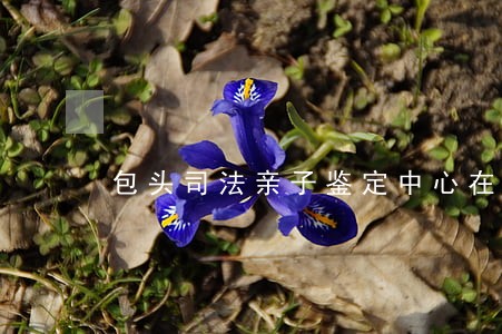 包头司法亲子鉴定中心在哪里 包头司法亲子鉴定中心在哪里