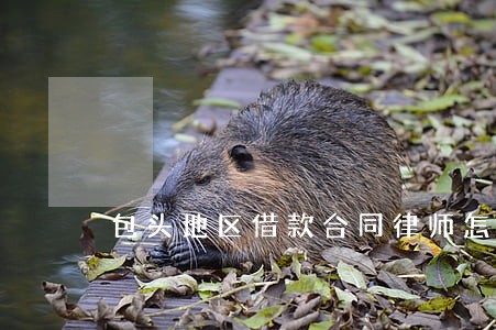 包头地区借款合同律师怎么委托 包头地区借款合同律师怎么委托