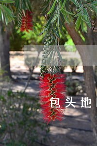 包头地区公司债务律师价格 包头地区公司债务律师价格