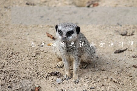 包头地区委托债务追讨律师 包头地区委托债务追讨律师