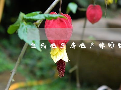 包头地区房地产律师收费 包头地区房地产律师收费