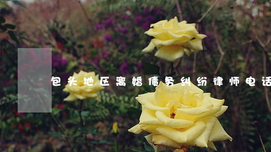 包头地区离婚债务纠纷律师电话 包头地区离婚债务纠纷律师电话