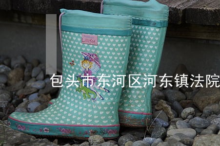 包头市东河区河东镇法院执行 包头市东河区河东镇法院执行