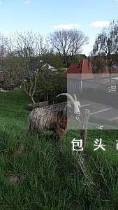 包头市找离婚律师服务 包头市找离婚律师服务