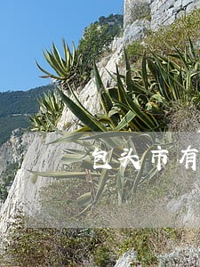 包头市有法院的领导小组 包头市有法院的领导小组
