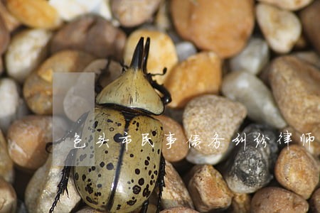 包头市民事债务纠纷律师价格 包头市民事债务纠纷律师价格