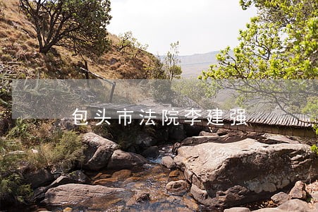 包头市法院李建强